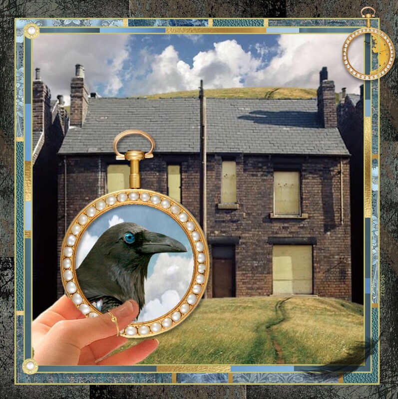In the foreground is the close-up of a human hand holding up a gold and pearl compact mirror. The reflection in the glass is the head of a raven with a bright blue eye. In the background is a row of boarded up terraced houses with a grassy hill towering over them. 