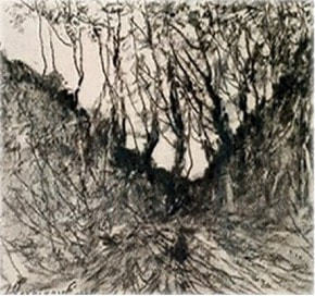 A photo (taken by E. C. Christie in Walsall Gallery) of a black chalk drawing of trees by Henri-Joseph Harpignies,.